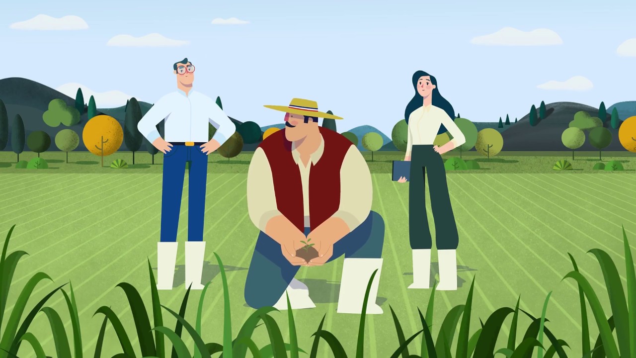 Agrosuper Planta Tratamiento