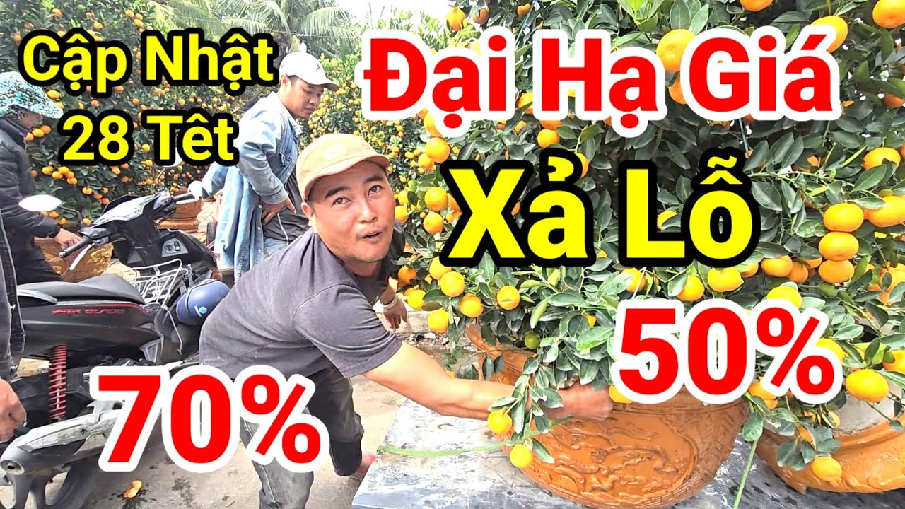 Tin Nong Sáng 28 Tết: Chợ Hoa Đà Nẵng Giảm Sập Sàn, Nhiều Nhà Vườn Bán Lỗ 50%