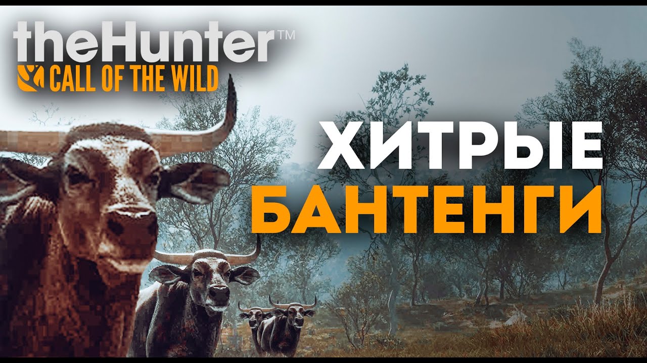 theHunter Call of the Wild - ФЕЙЛЫ И БОЛЬ😭- Арбалет - Австралия