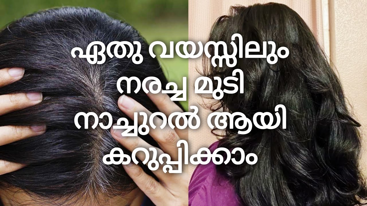 How To Make *Natural Black Hair dye powder*Convert Grey Hair to Black Hair, All age Black diy Remedy