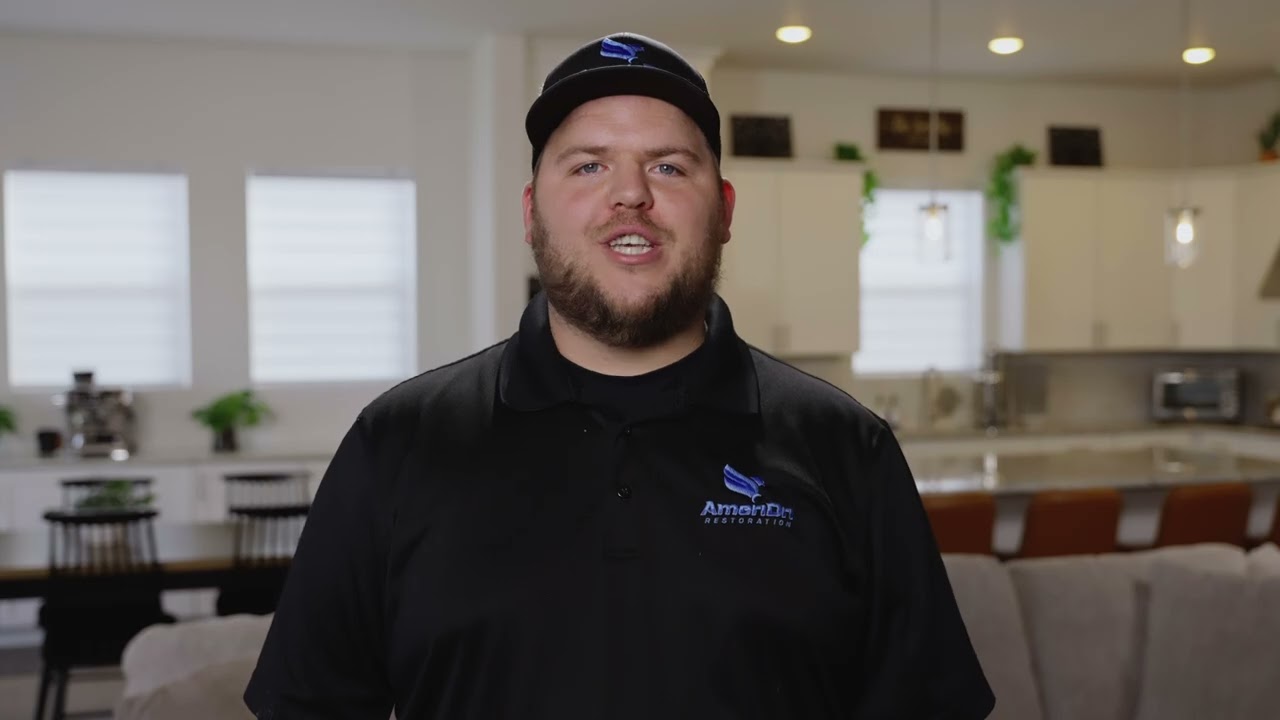Professional Mold Removal Services | AmeriDri