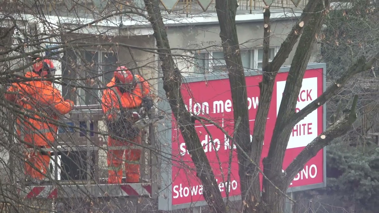 LIPY NA SŁOWACKIEGO W DĘBNIE