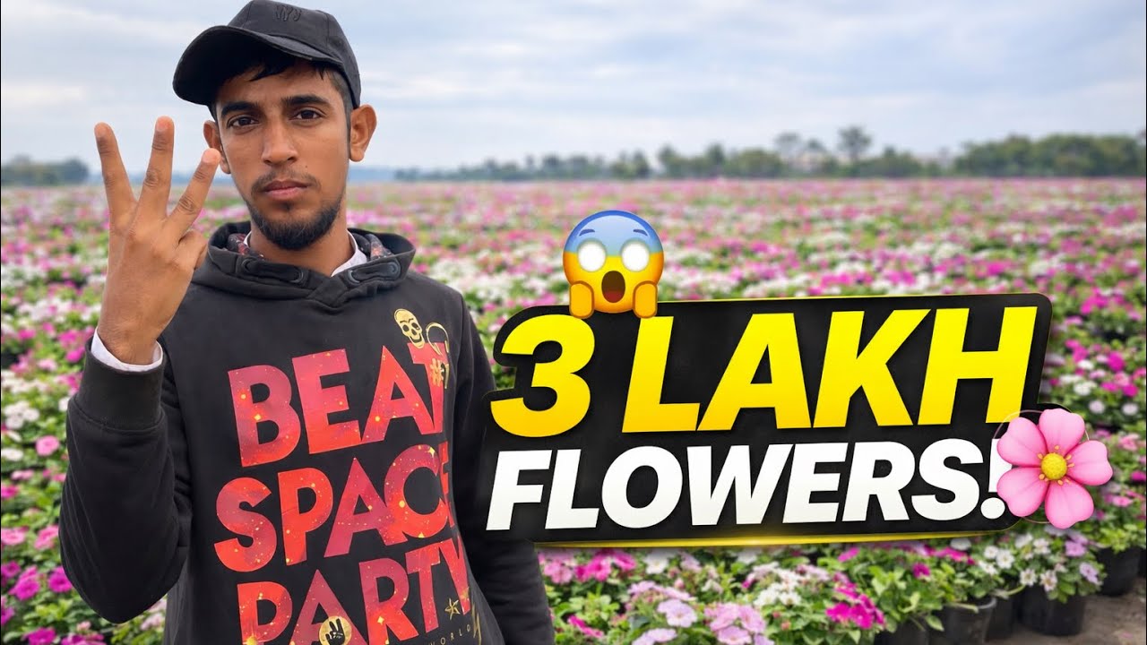 Itne Flowers Kabhi Nahi Dekhe! Teen Lakh Pattiyan Aaj New S Mein 😱