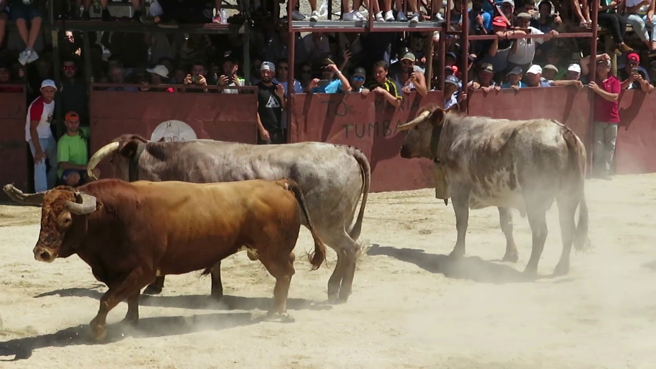 Capeia Arraiana - Lageosa 2019