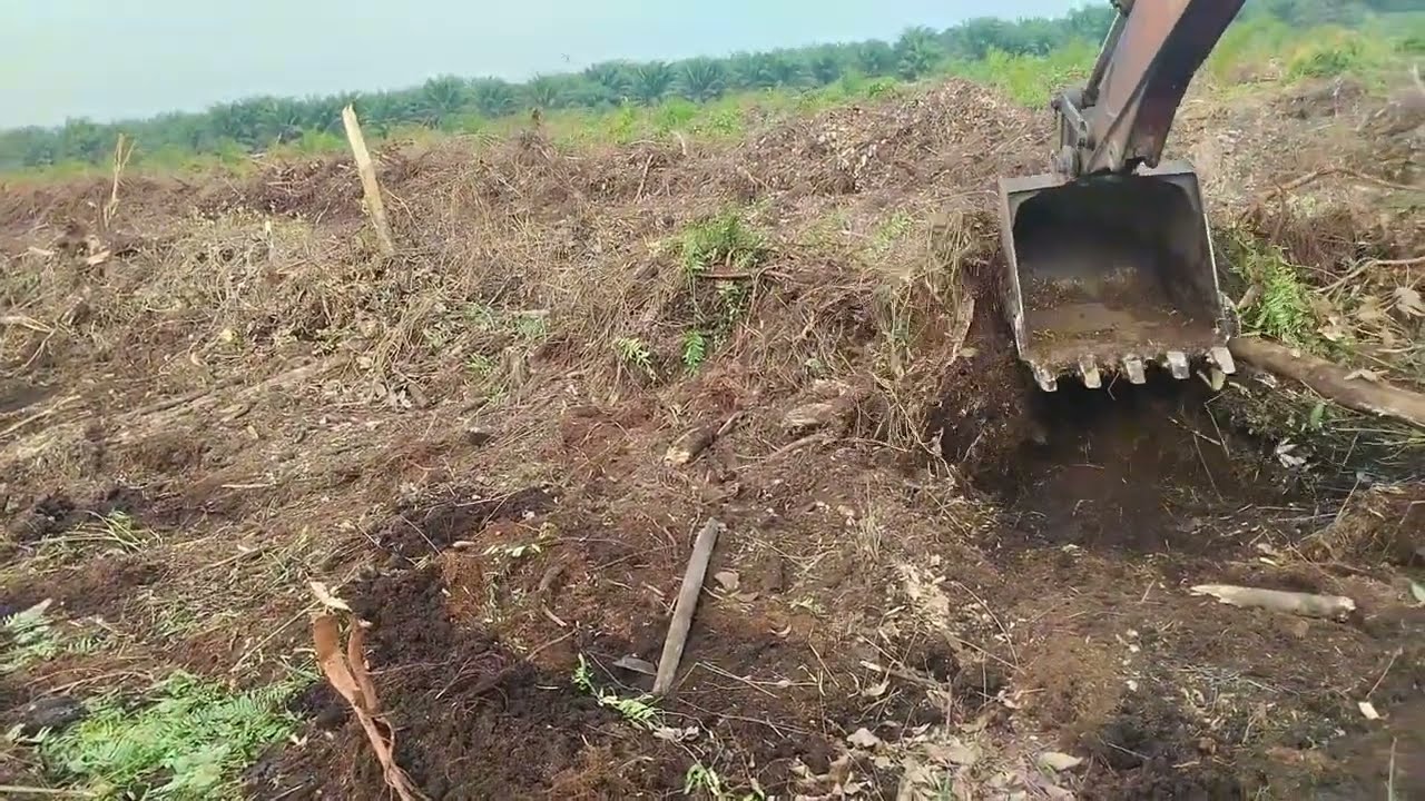 Excavator Hitachi 138 Rolling Di Lahan Gambut