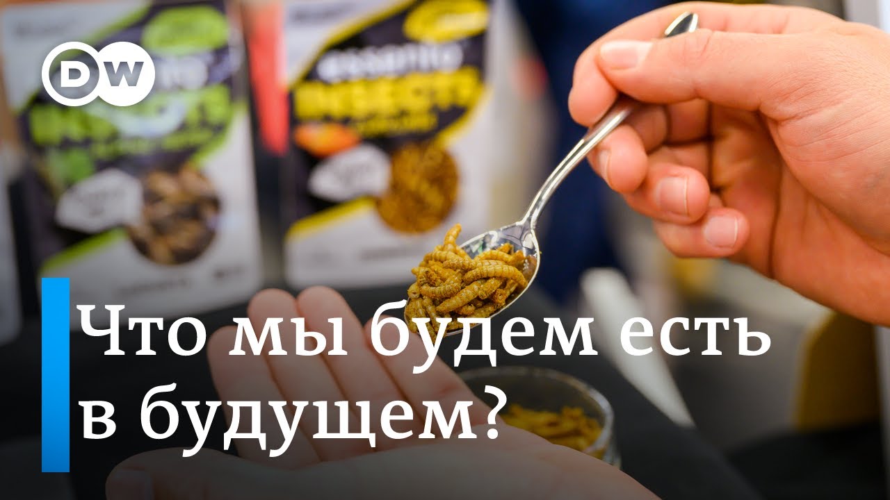 Что мы будем есть в будущем: продукты, которые вас удивят, или Новейшие тренды ярмарки Anuga