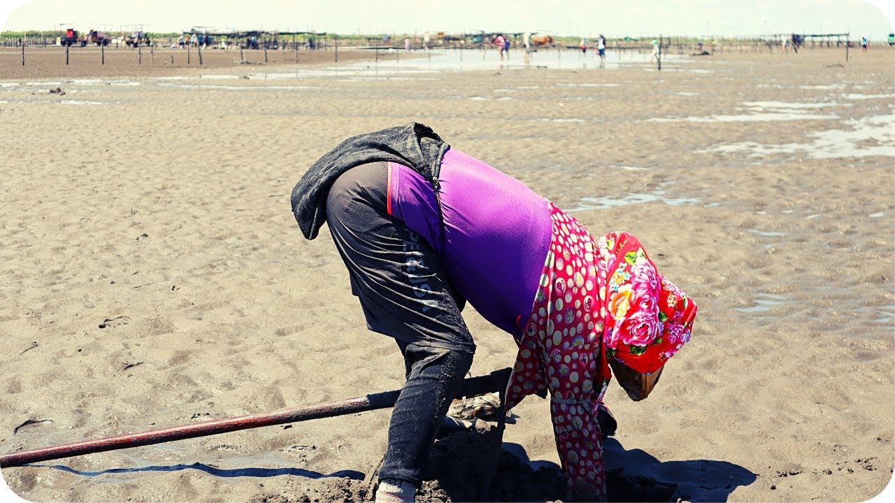 小孩子會玩很開心挖蛤蜊，烤牡蠣, 現場烤蚵仔可以吃到飽/Dig clams by the sea in Taiwan and eat all-you-can-eat grilled oysters