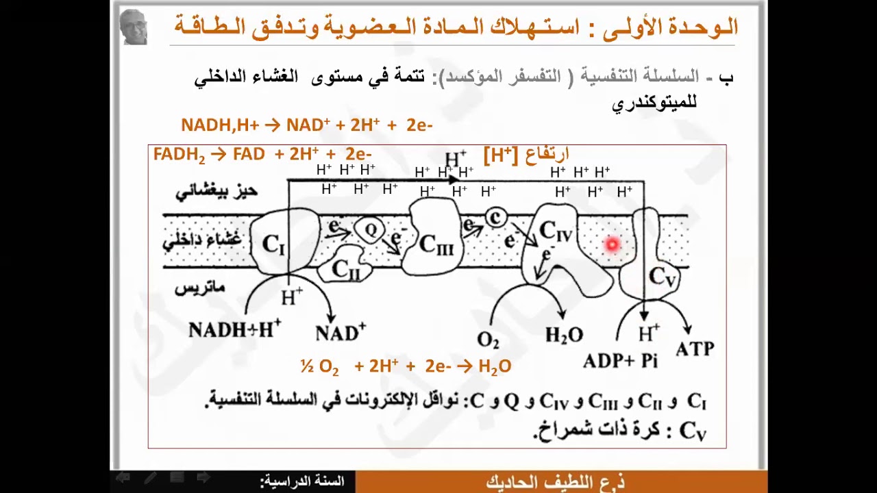 (SVT 2 bac ) Cha&icirc;ne Respiratoire السلسلة التنفسية