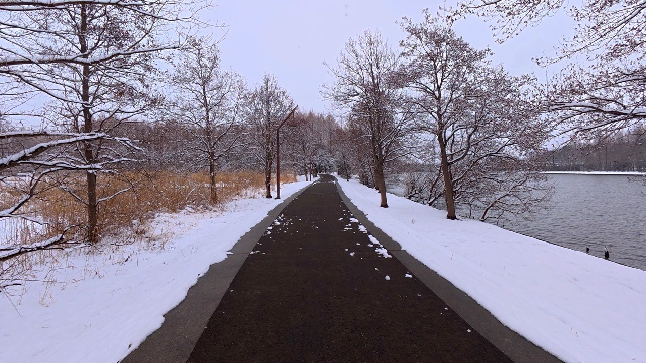 4K 東京で雪が降った日に水元公園をウォーキング　Walking in Mizumoto Park on a snowy day in Tokyo