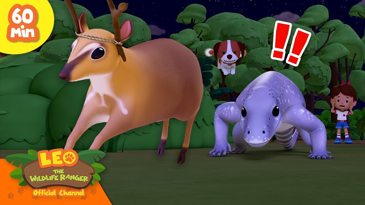 🏃💨 Animals Escaping the Hunt! 🏹 Deers, Birds & More! | Leo the Wildlife Ranger | Kids Cartoons