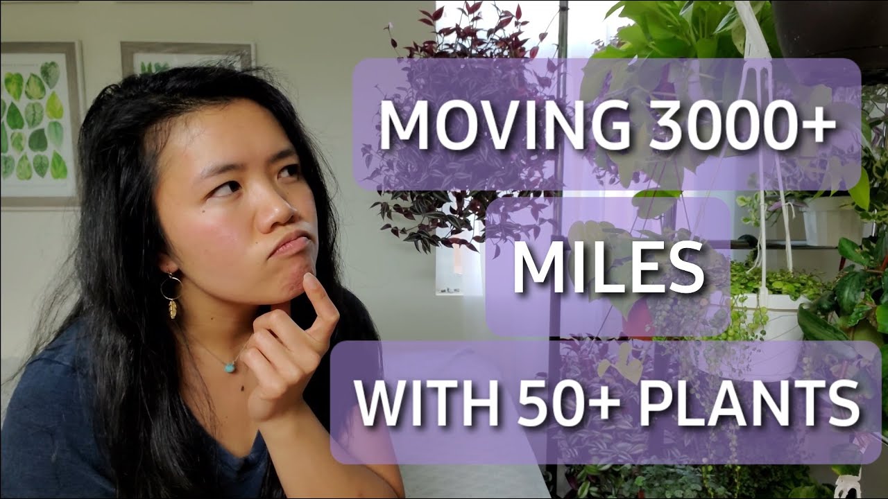 How I Moved Across the Country with my Plants