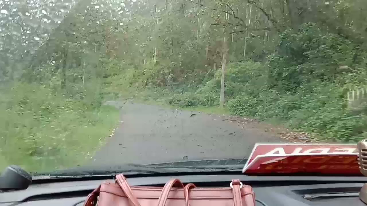 driving is my passion...