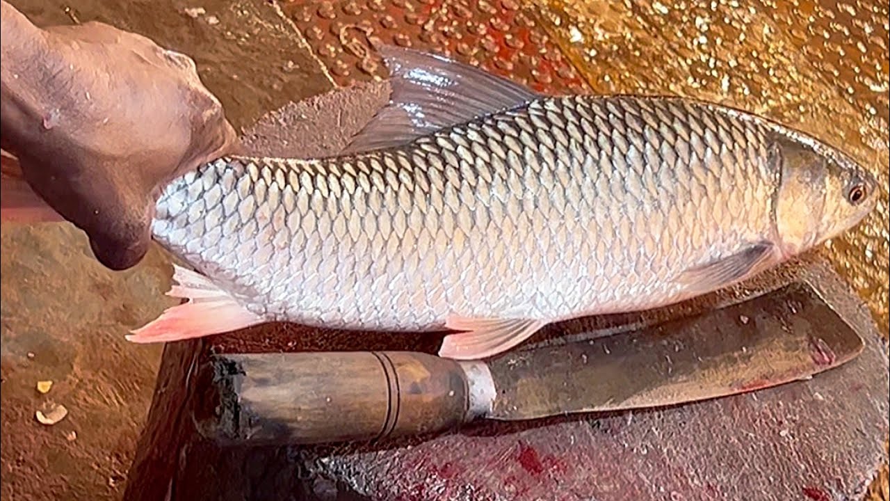 Big Mrigal Fish Cutting By Expert Fish Cutter | Fish Market Bangladesh