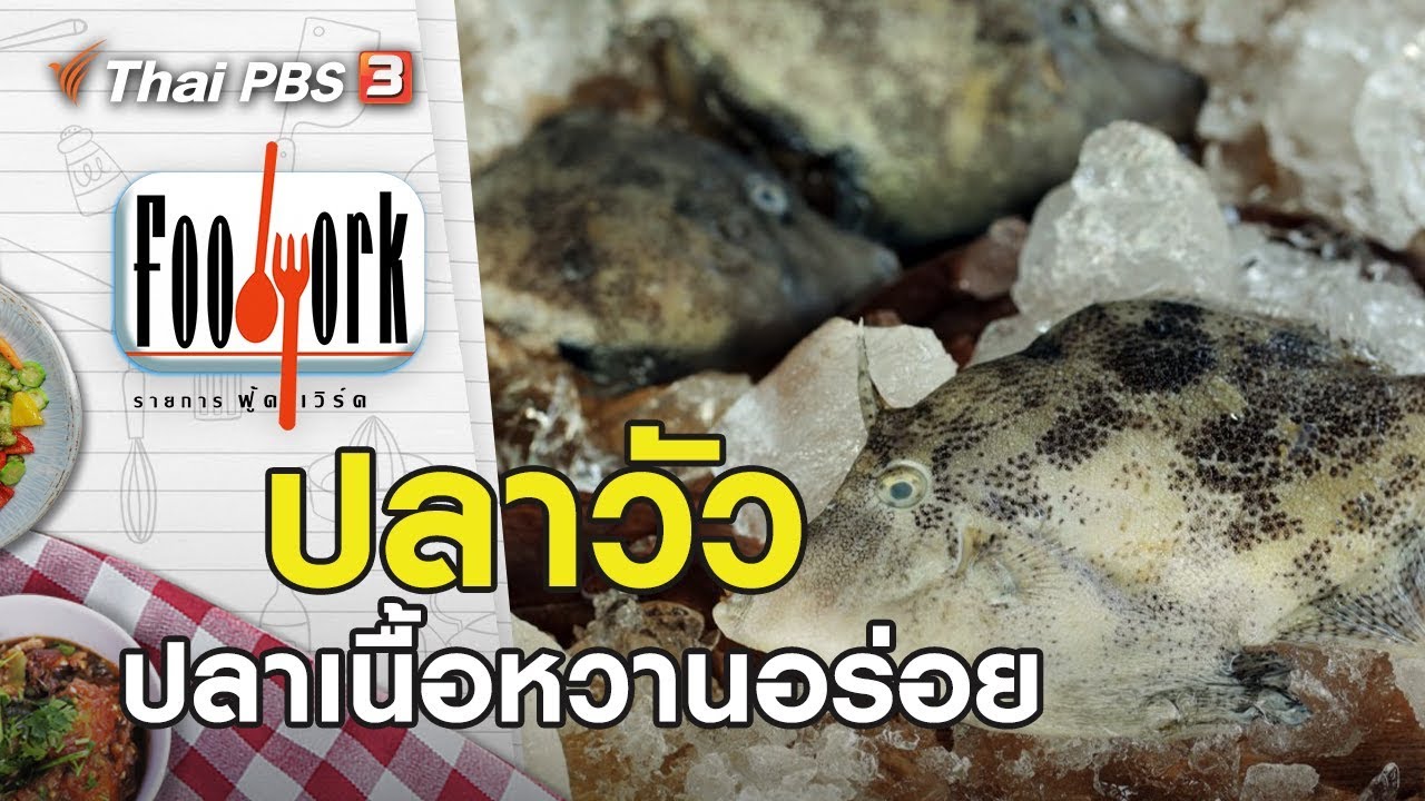 ปลาวัว : Foodwork [CC] (22 มี.ค. 63)