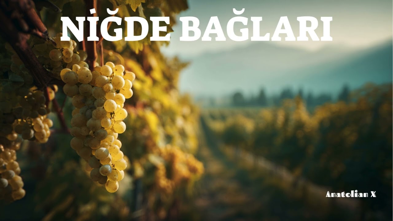 NİĞDE BAĞLARI I Psychedelic Anatolian Folk Cover