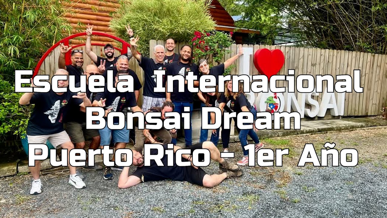 Escuela Bonsai Dream Puerto Rico -1er año feat. Mauro Stemberger – Amabi Bonsai Tropical Puerto Rico