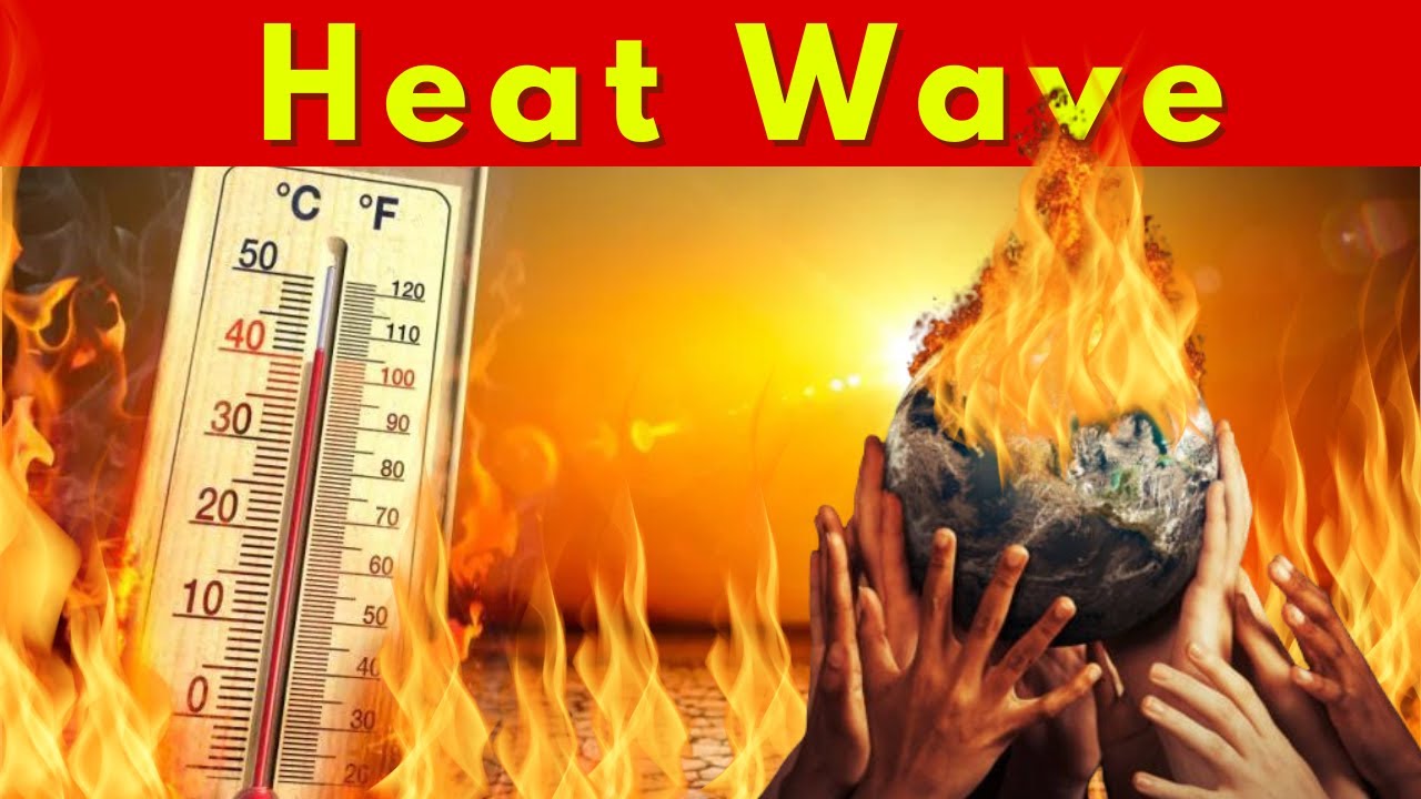 Survive the Heat Wave: Essential Summer Safety Tips!