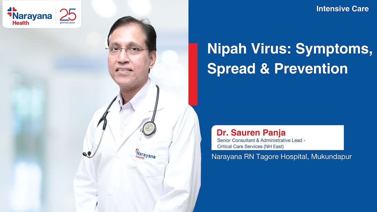 Nipah Virus Explained: Symptoms, Spread & Severity