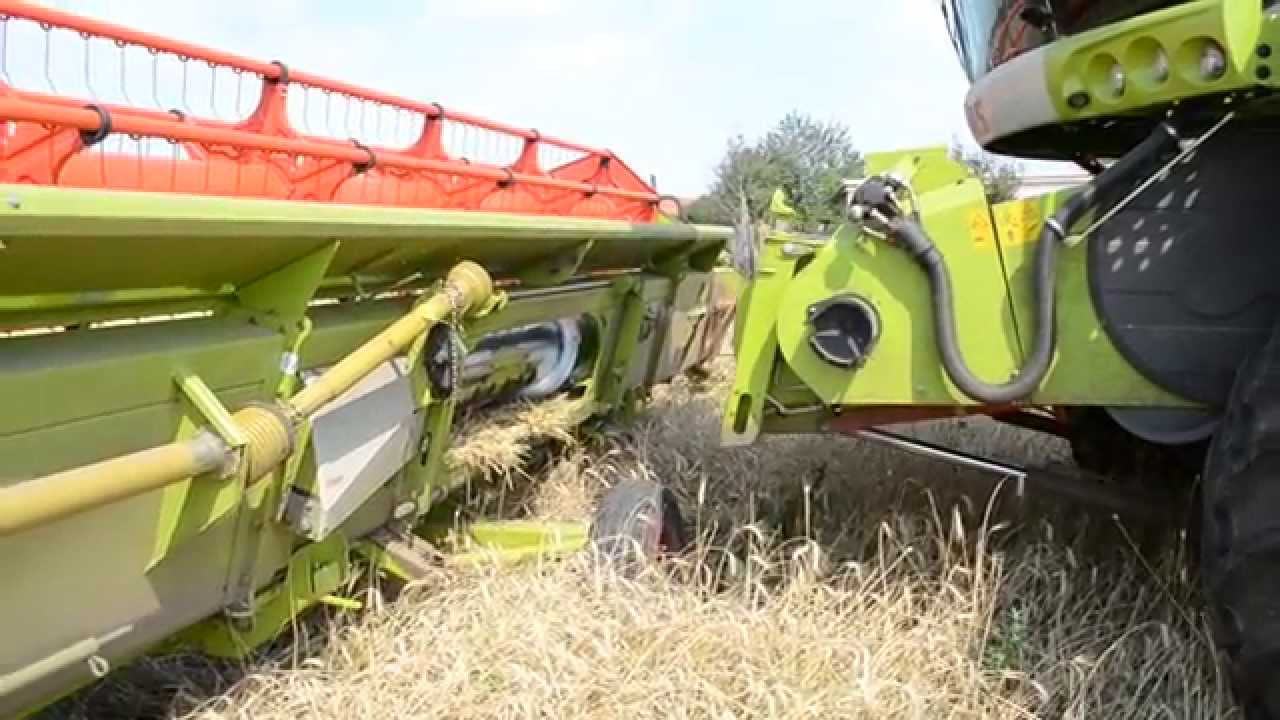 2015 Schneidwerk ankoppeln Lexion 550 - Vario750