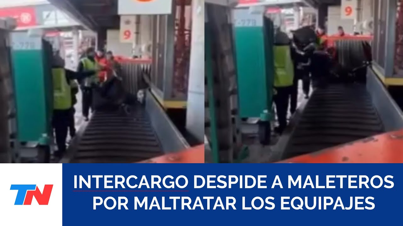 Intercargo despidió a dos maleteros por maltratar equipaje en el Aeroparque: la palabra de Adorni