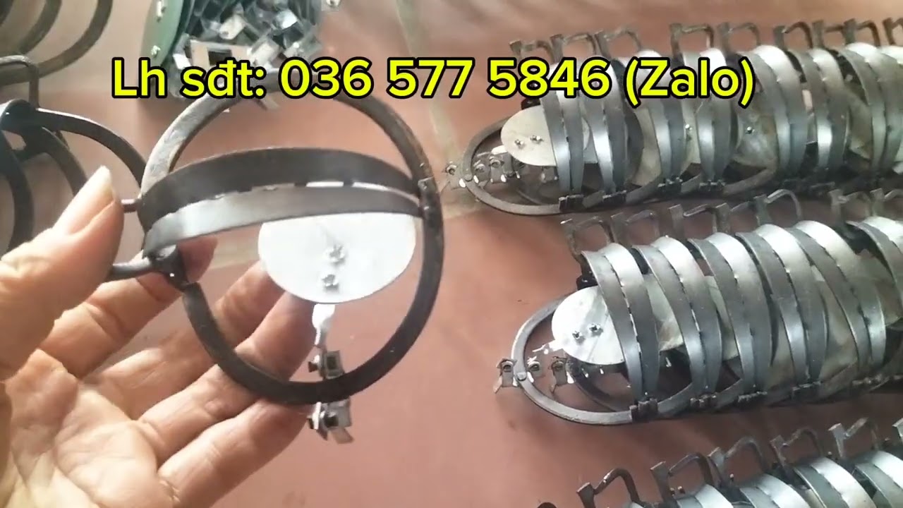 Cạm kiềng 9cm, 14cm đánh chuột sóc chồn hàng loại một giữ thú tốt #nongnghiep#cambaychuot