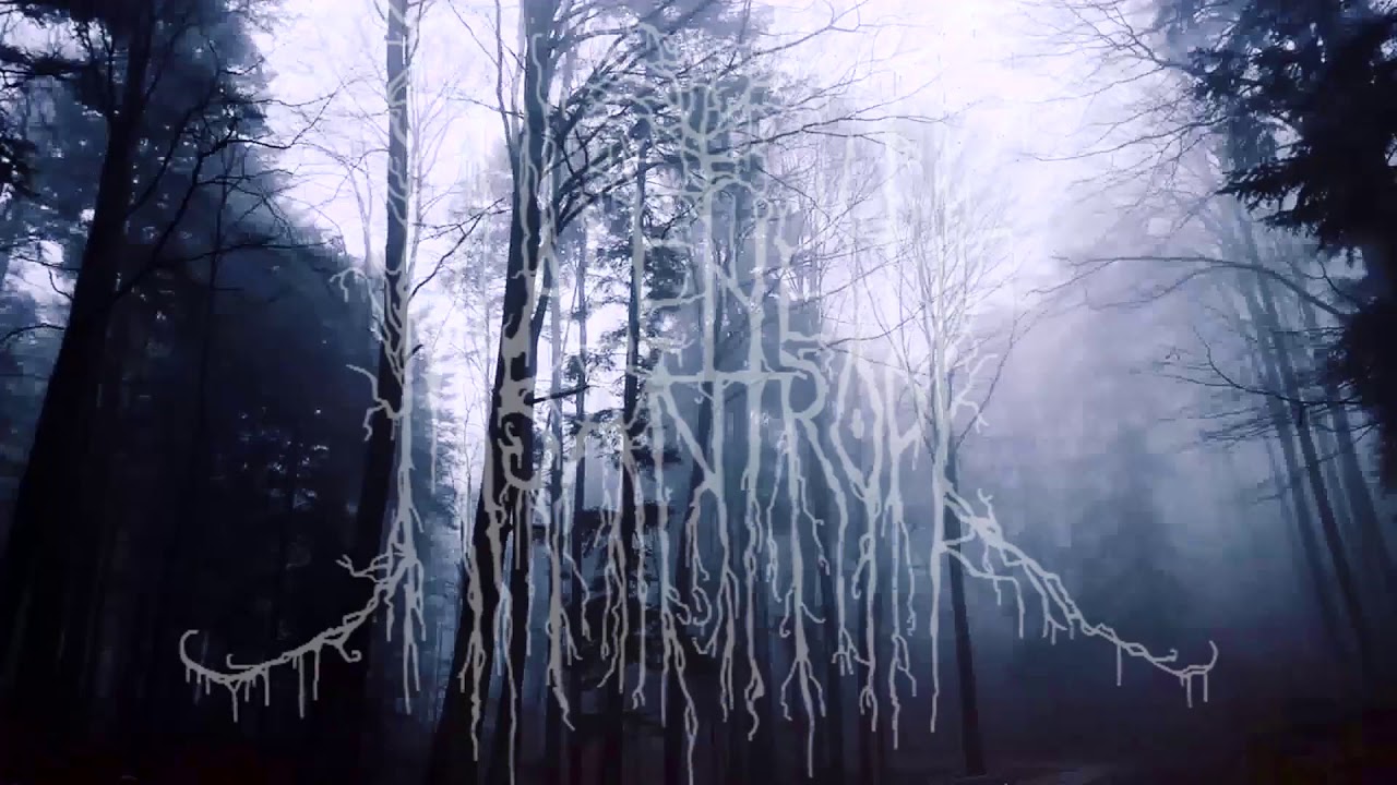 Alene Misantropi New Album Teaser