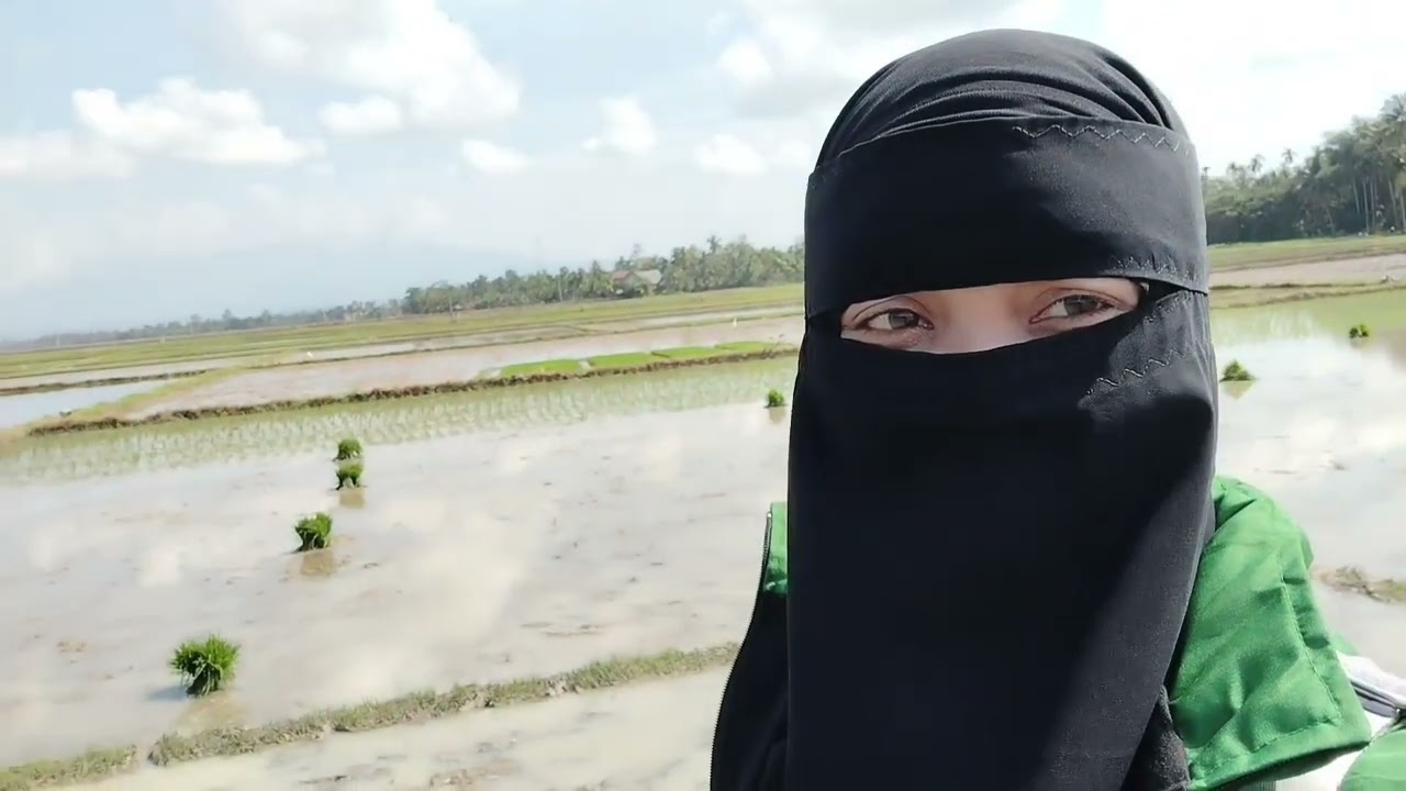 Pemantauan LTT
