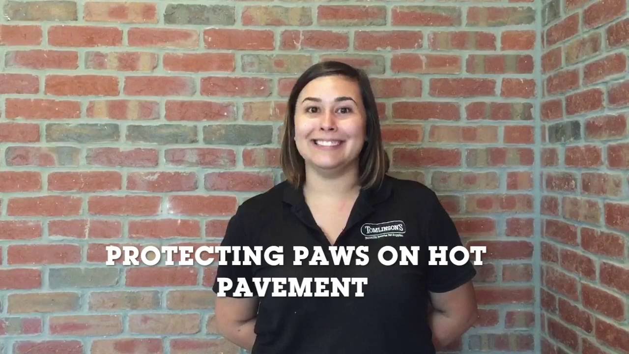 Protecting Paws on Hot Pavement