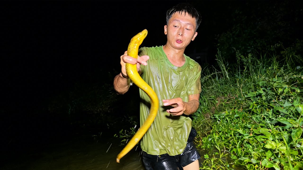 誰夜抓鱔魚遇過這好事？從白天蹲到黑夜，大貨全在夜裏出！#fishing #熱門