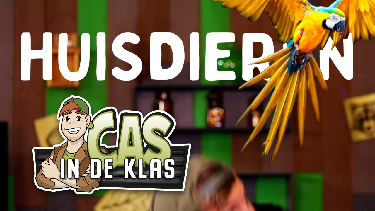 Huisdieren 🐶 - Leren met Cas in de Klas - Kinderpretpark Julianatoren