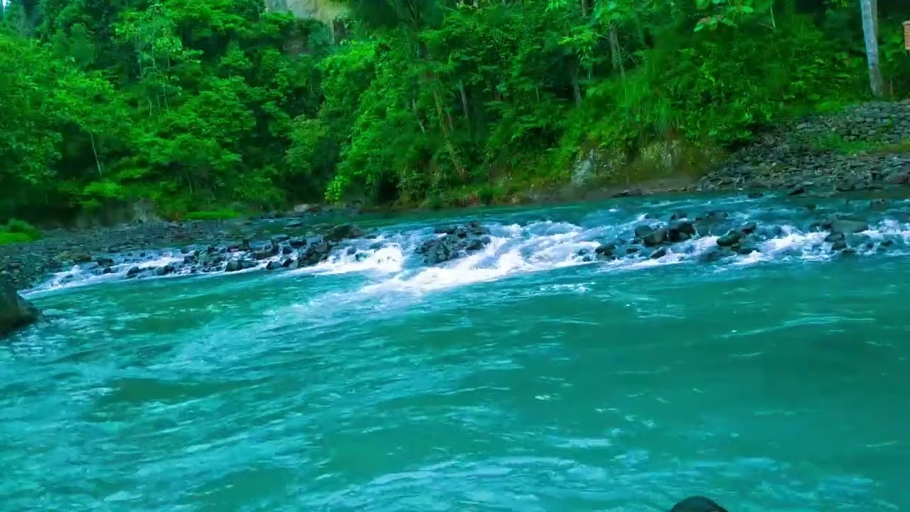 Sleep Soundly with Peaceful River Melody and Calm Water Sounds in Peaceful Forest