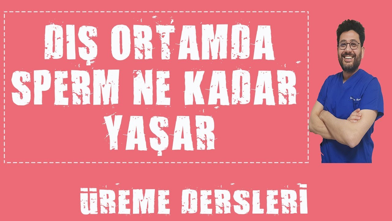 Sperm Kaç Gün Yaşar ?