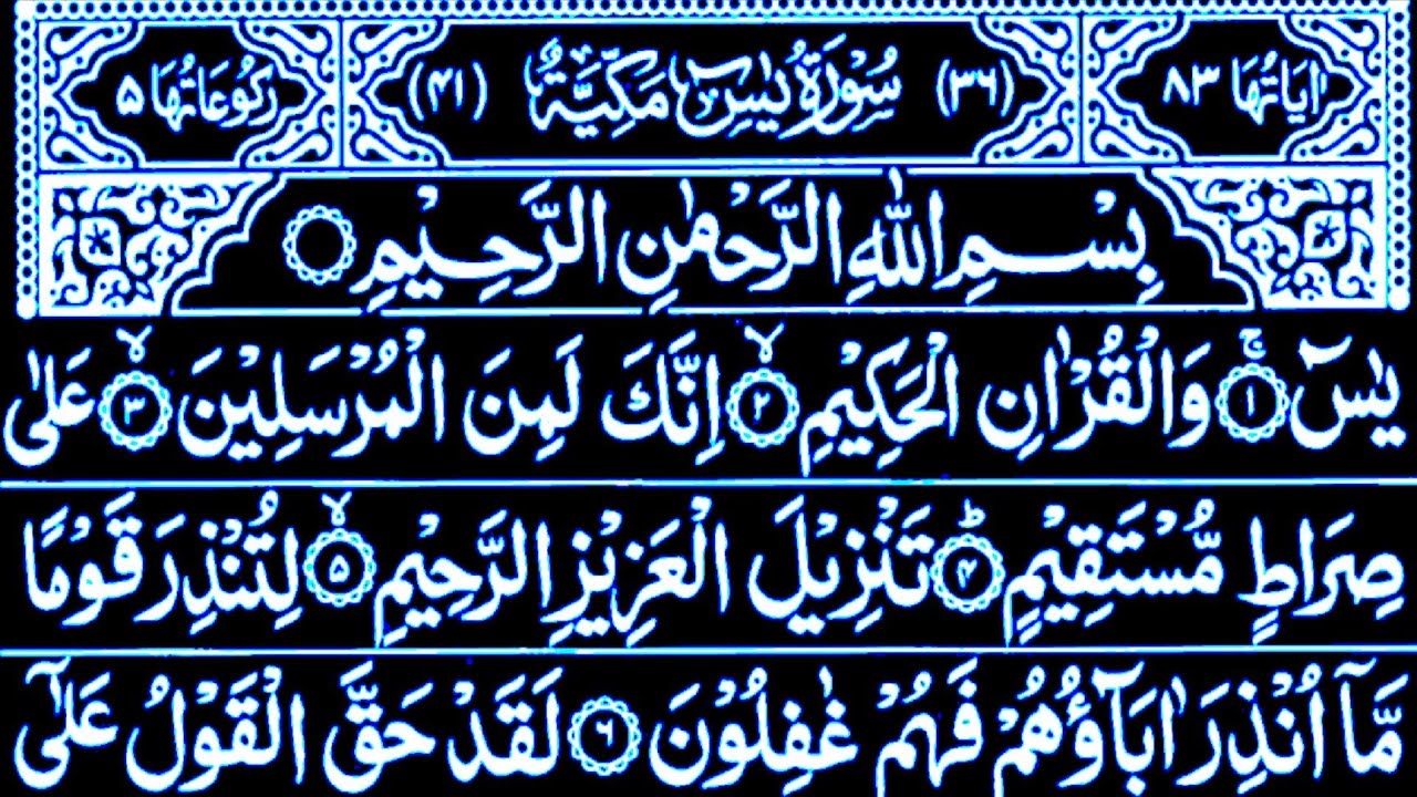 Surah Yaseen || Surah Ar Rahman || Best Quran Reaction Surah Yaseen || #surahyaseentilawat