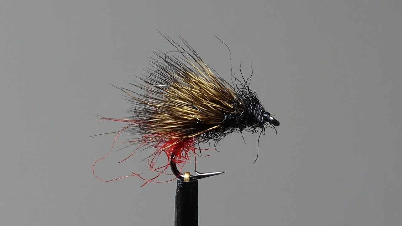 Fly Tying with Phil: The Red-Arsed Sedgehog