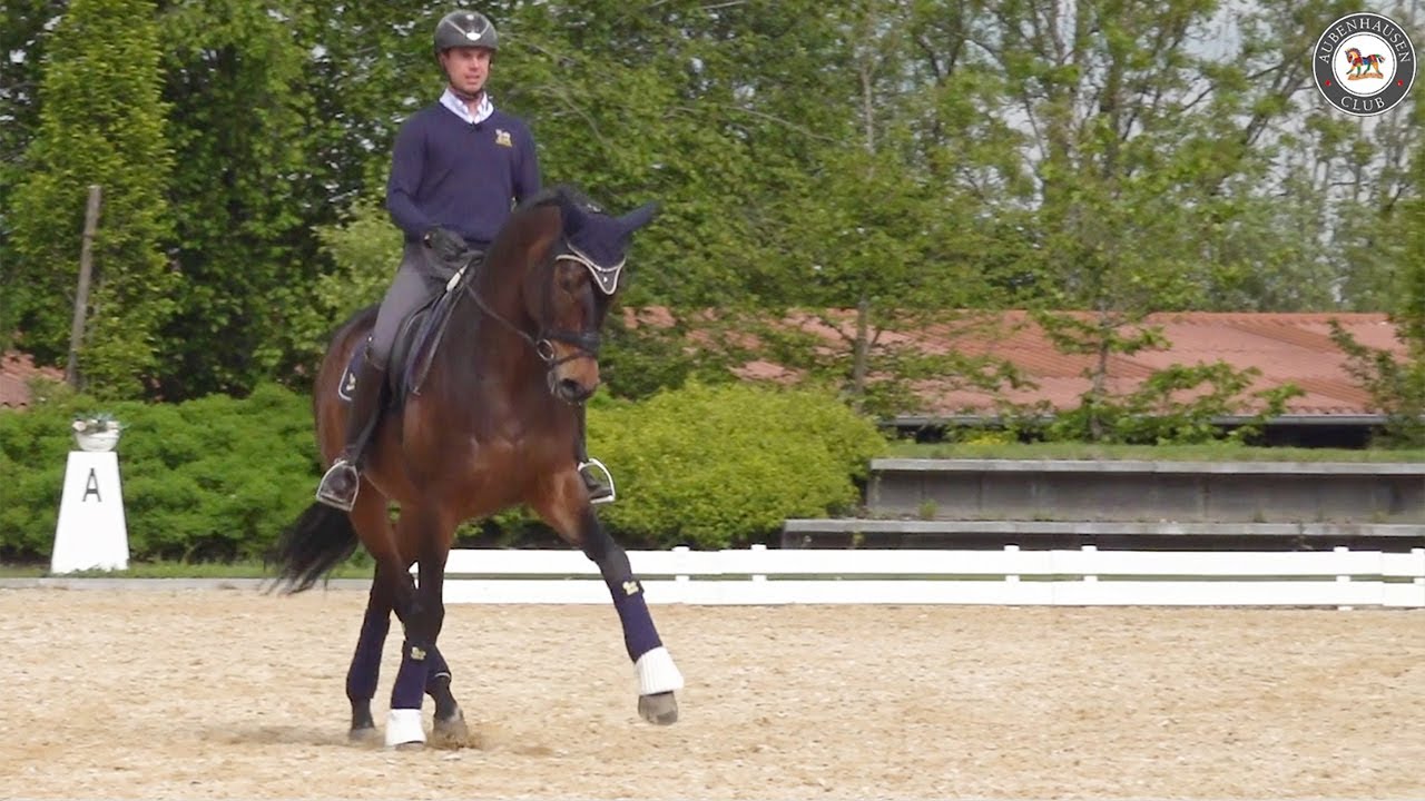 Aubenhausen Club Int.