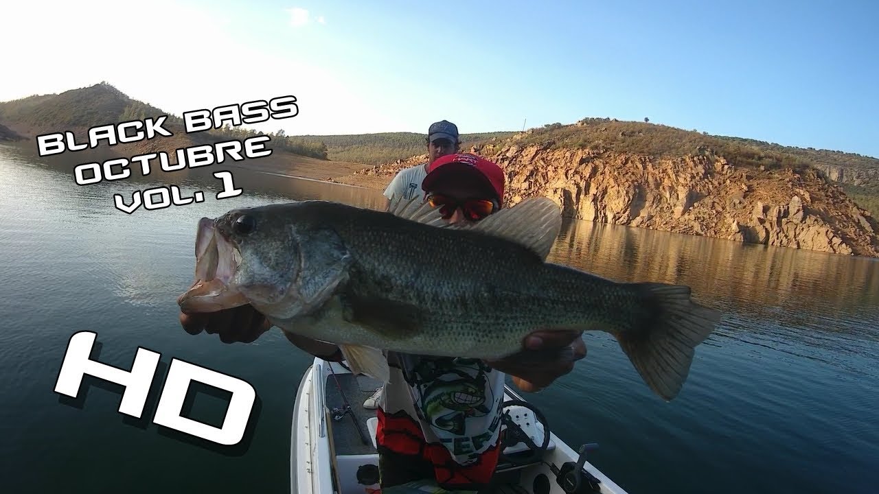 Pesca de Black Bass en Cijara | Picada brutal en Superficie!