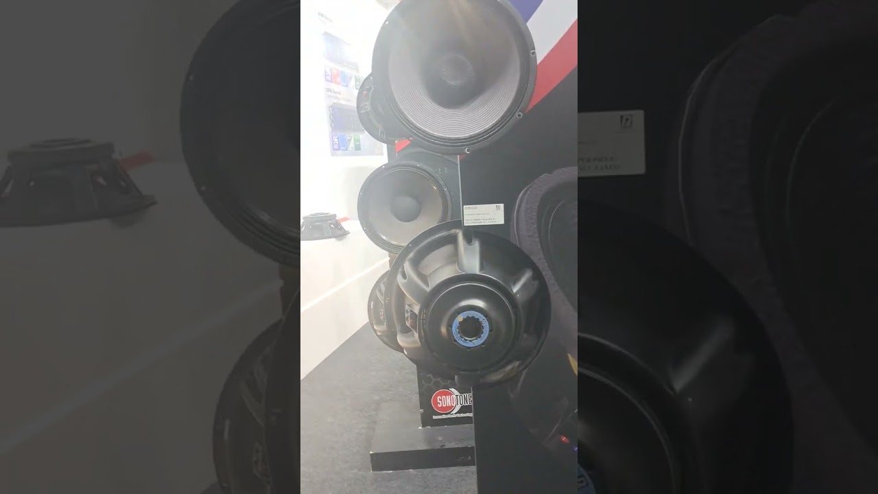paudio original 