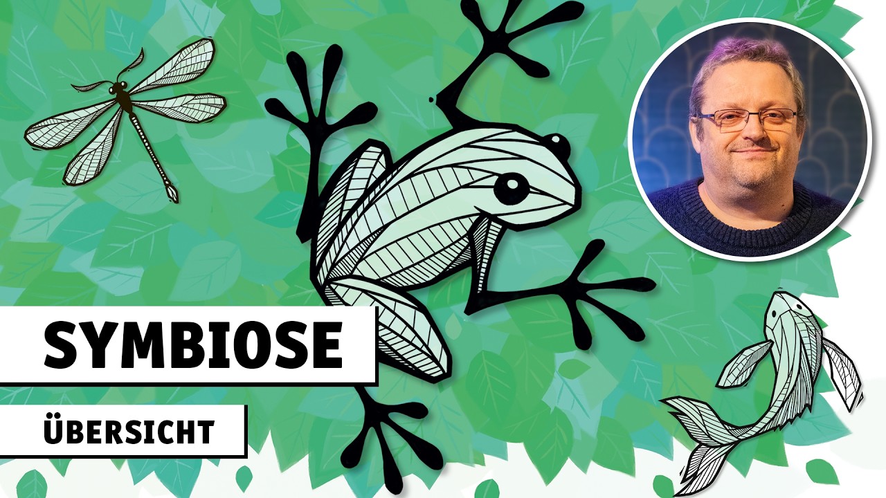 Symbiose | Vorstellung | Pegasus Spiele