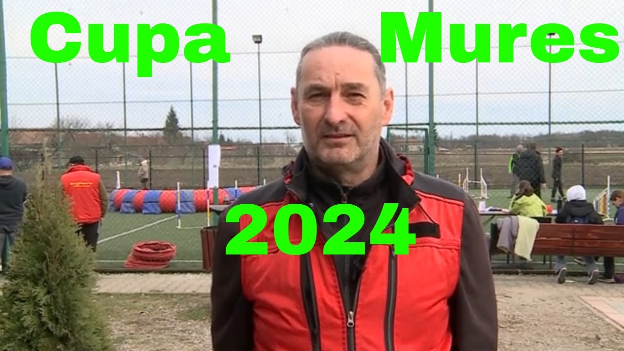 Malinois în competiții
