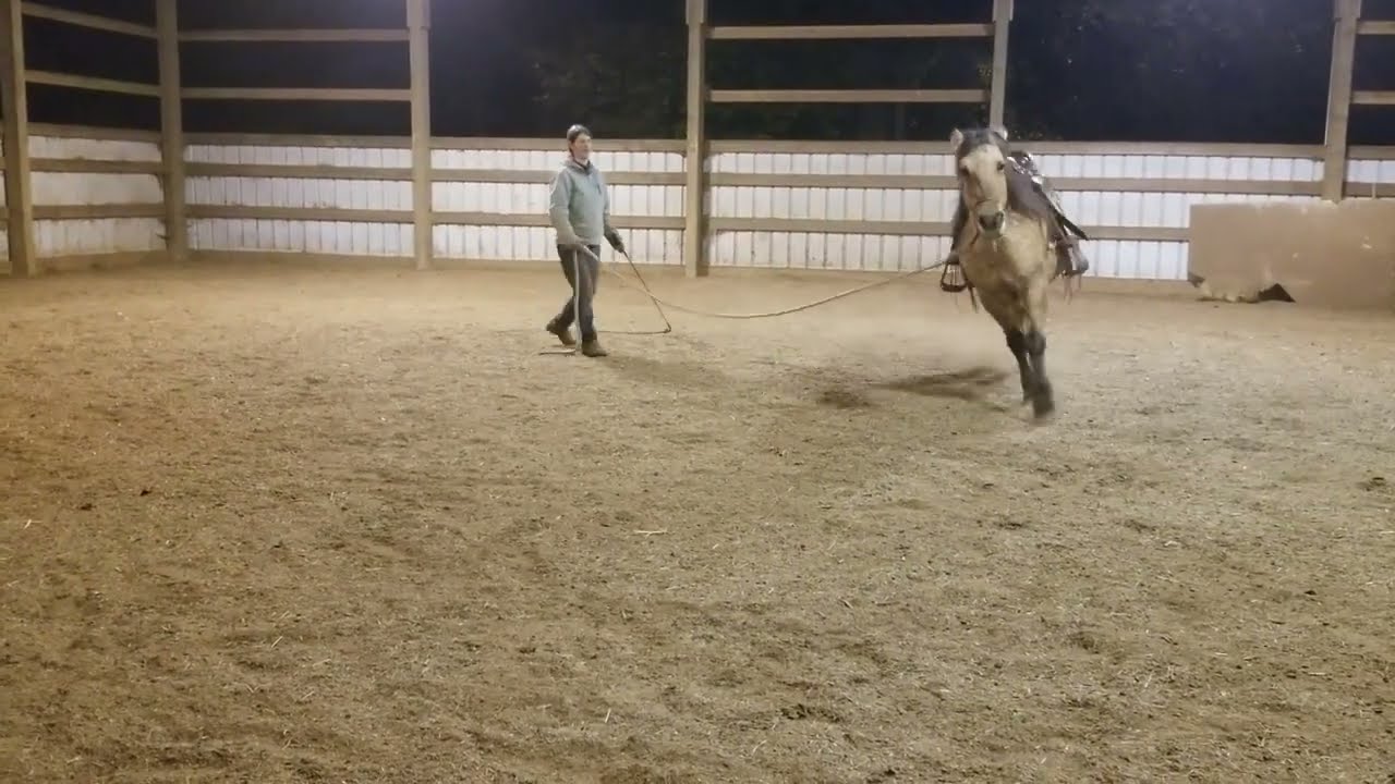 Circling Game Online - Helping A Horse Maintain The Canter