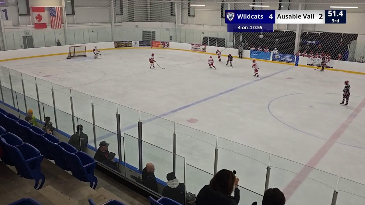 Woolwich Wildcats vs Ausable Valley Coyotes - U12 AA - 01/10/2026