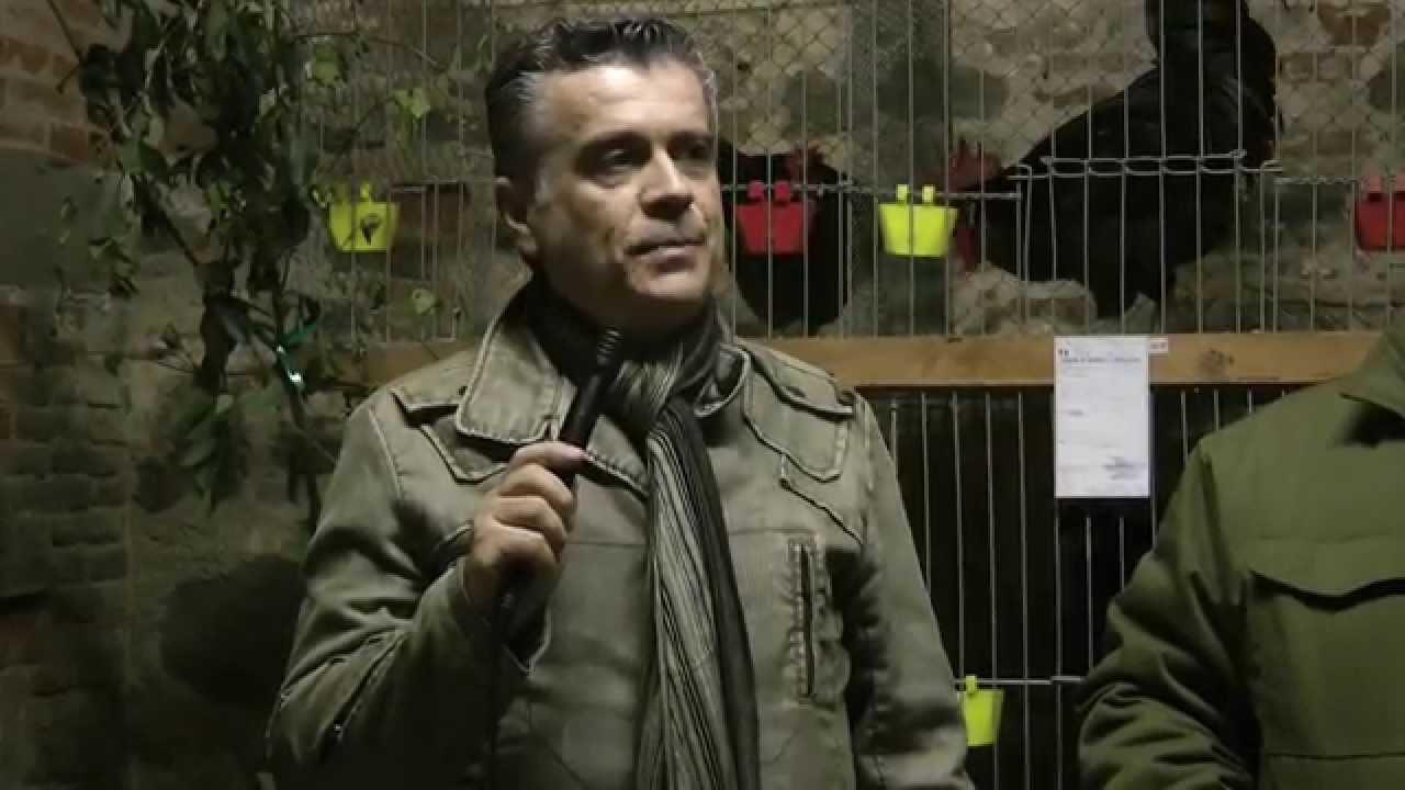 3 MOSTRA AVICOLA REGIONALE / A.T.A. 14 - 15 Febbraio 2015