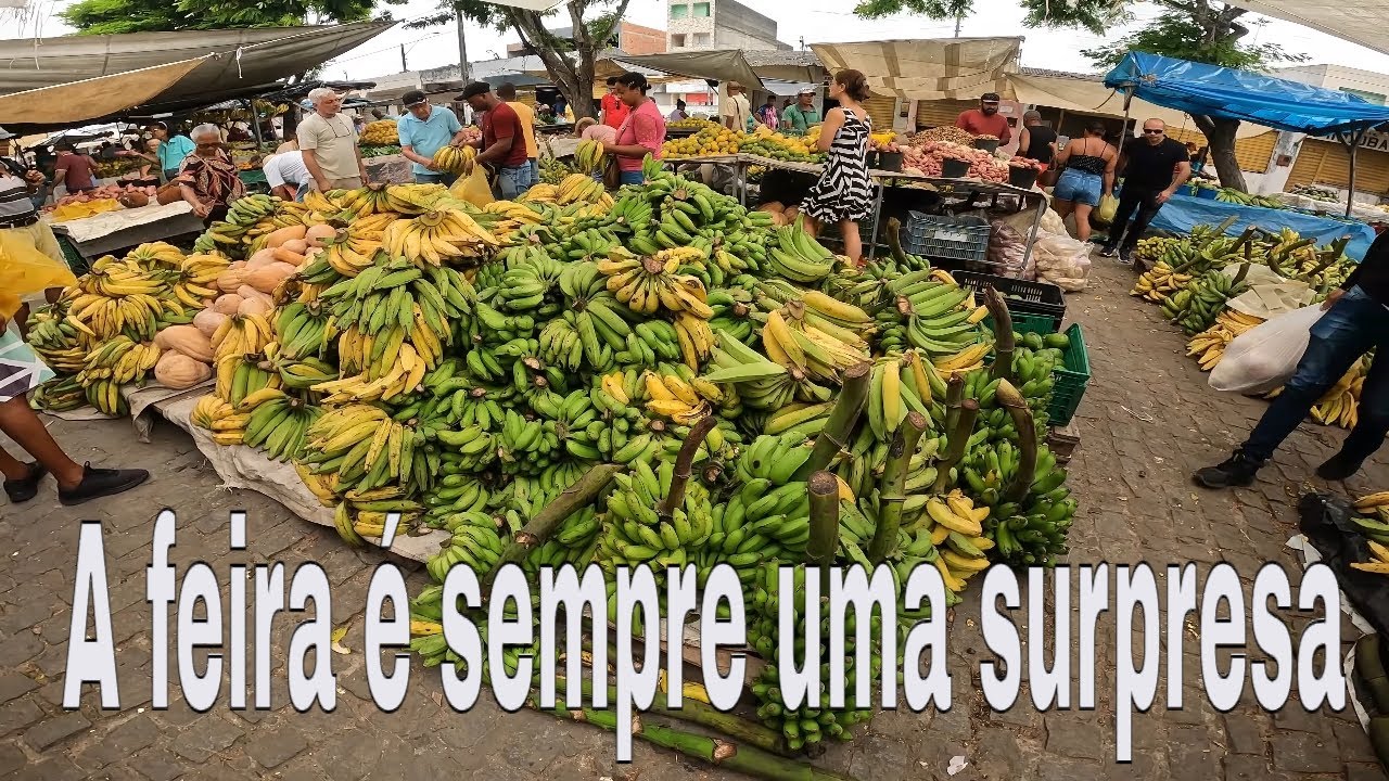 🎥 Confira o vídeo da feira completo com áudio original!