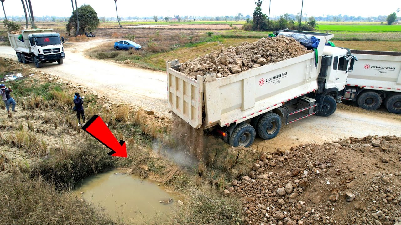 Nicely !! Team dump truck unloading soil landfill flooded area with bulldozer SHANTUl pushing soil 