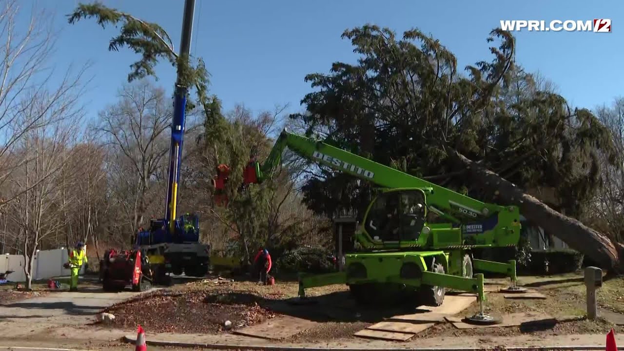 Video Now: Crews begin cleanup after tree falls on Attleboro house