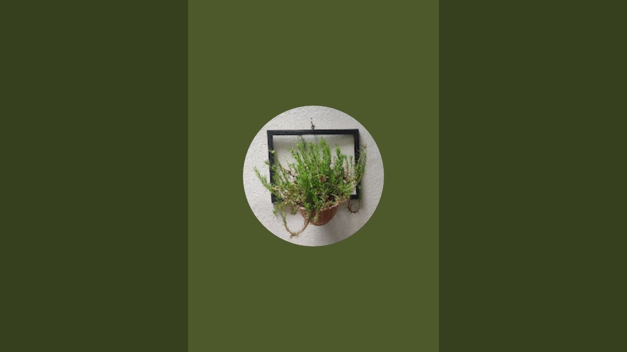 GREEN PARADISE  is live