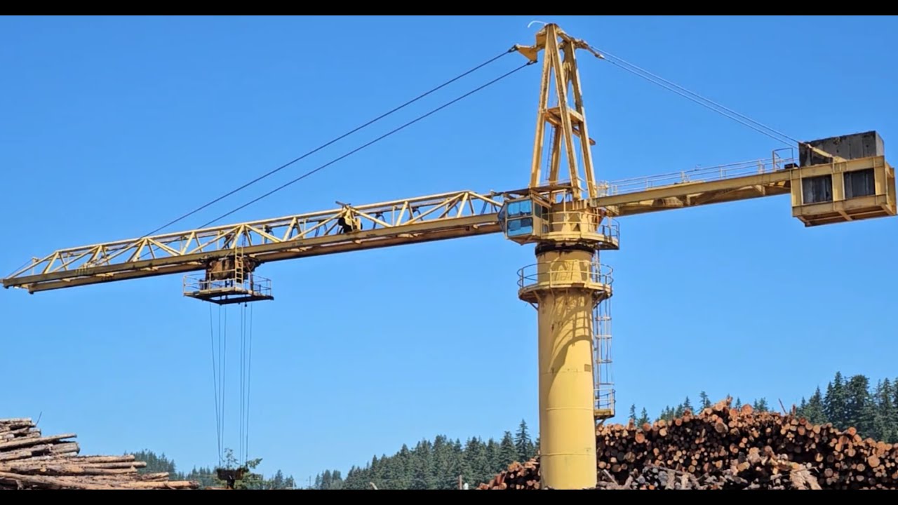 LOG CRANE LOADING A WOOD CHIP MILL.