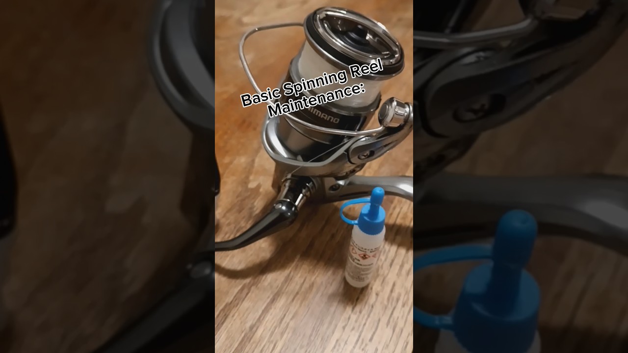 How To Take Care Of Your Spinning Reels! (grease and oil) #shimano #daiwa #freshwater #saltwater