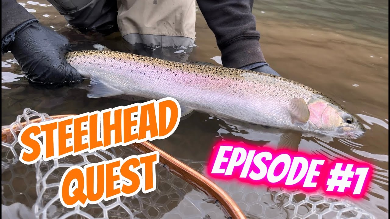 STEELHEAD Quest, эпизод 1 | Рыбалка в притоках!! | Экшн на северо-западе Тихоокеанского побережья!!