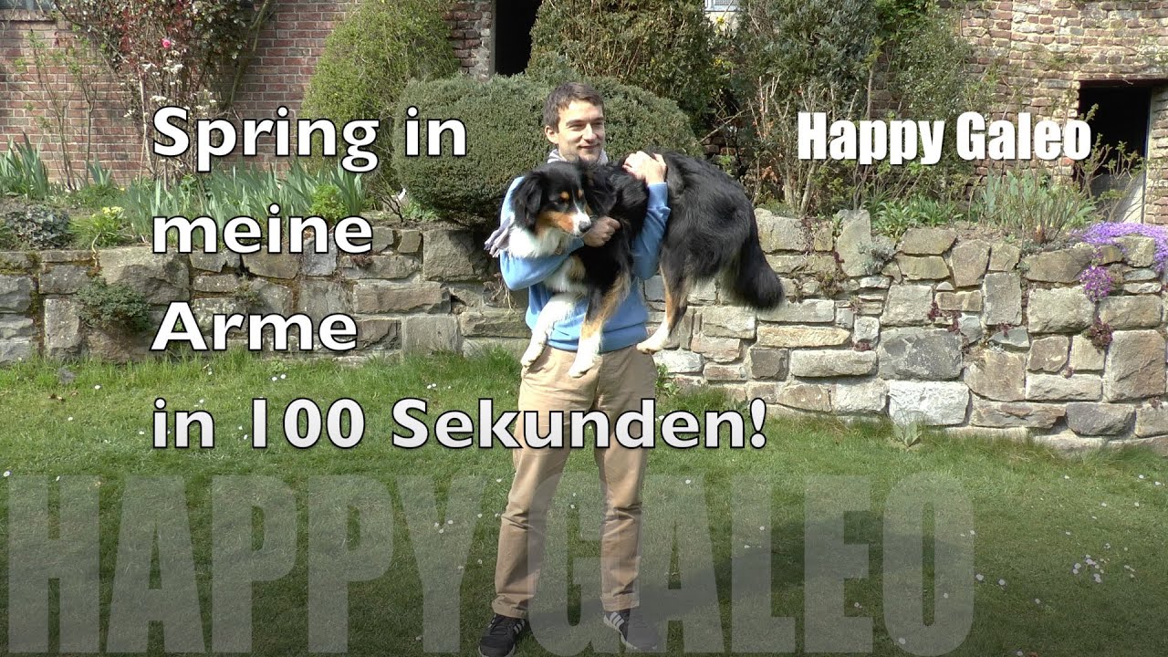 Spring in meine Arme in 100 Sekunden! Hundetrick -  Australian Shepherd - Clickertraining - Tutorial
